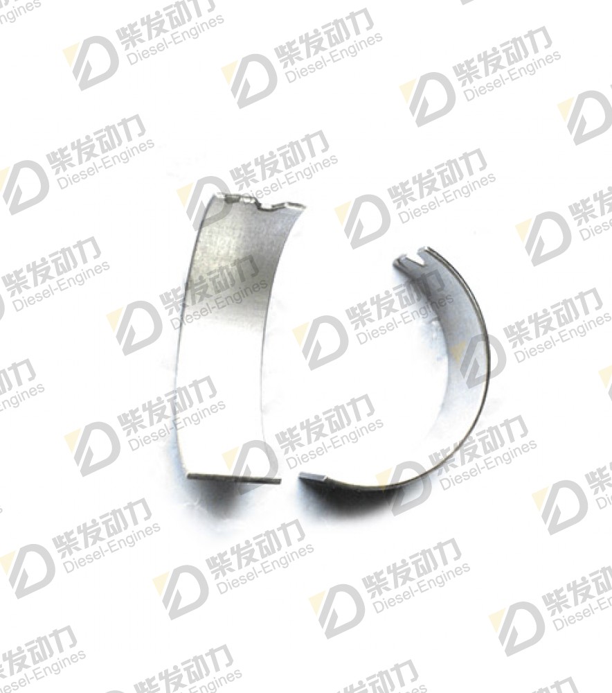 Camshaft bearing kit 21006103 